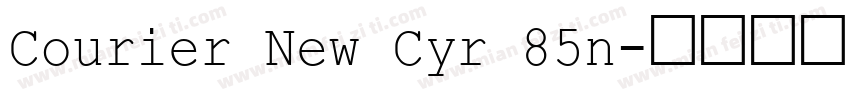 Courier New Cyr 85n字体转换